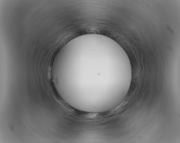 X0000111420090200907131029