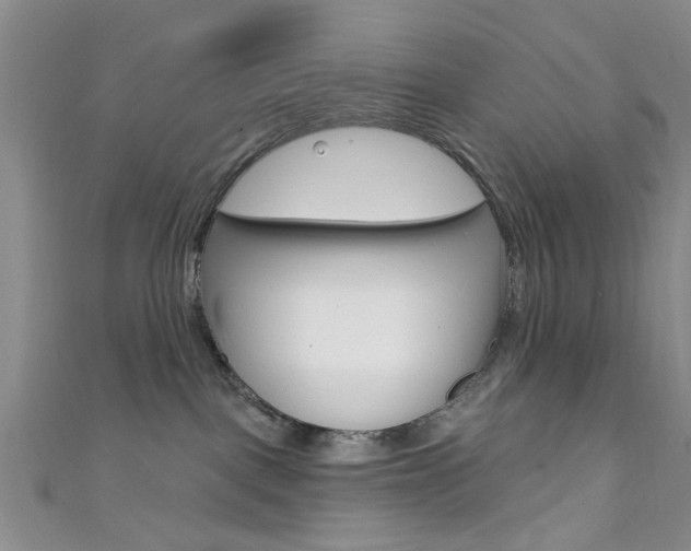 X0000111420093200907131029