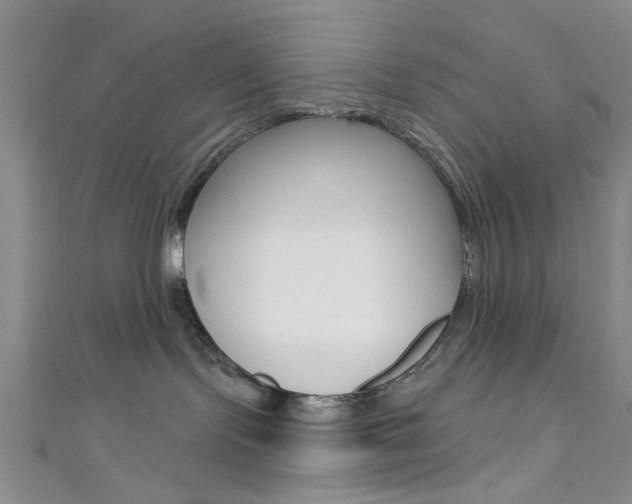 X0000111420095200907131029