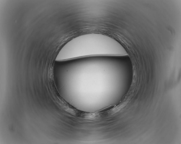 X0000111420096200907131029