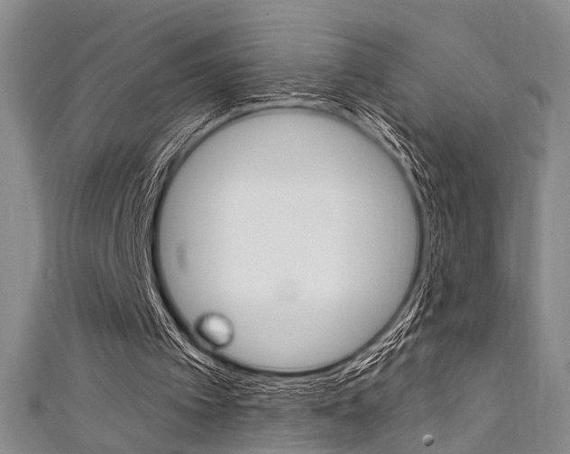 X0000111420097200907131028