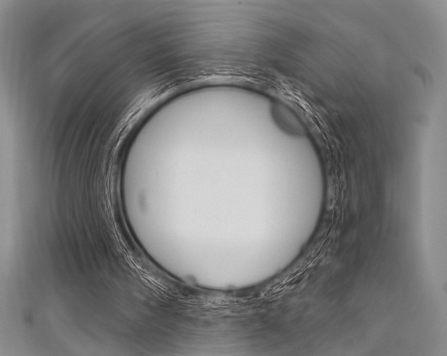 X0000111420098200907131028