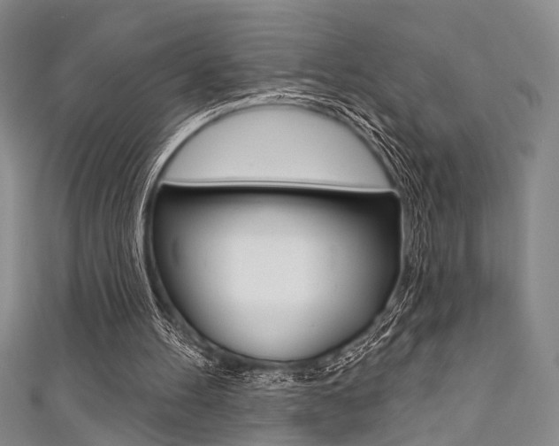 X0000111420100200907131028