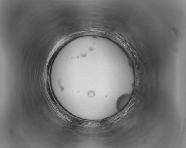 X0000111420102200907131028