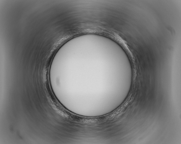 X0000111420106200907131028