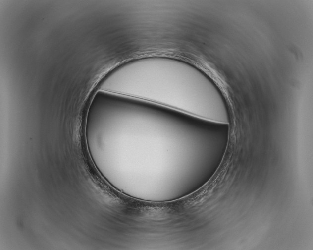 X0000111420107200907131028
