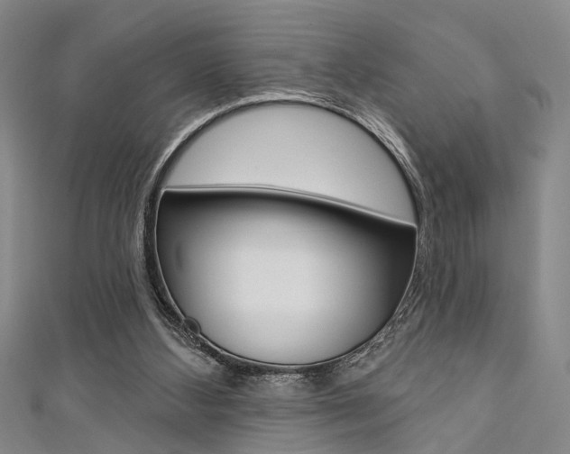 X0000111420108200907131028