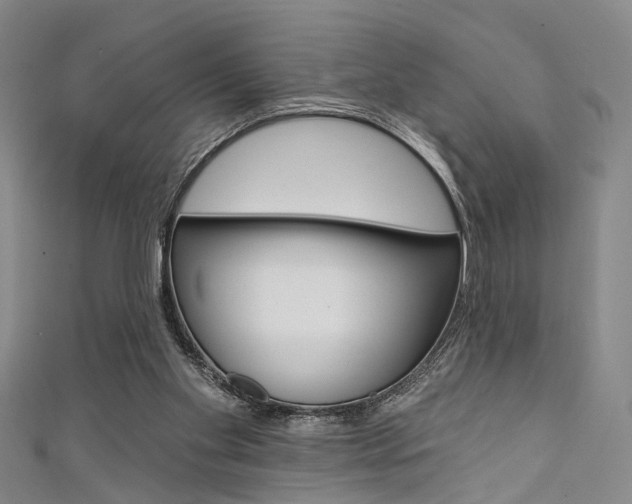 X0000111420109200907131028