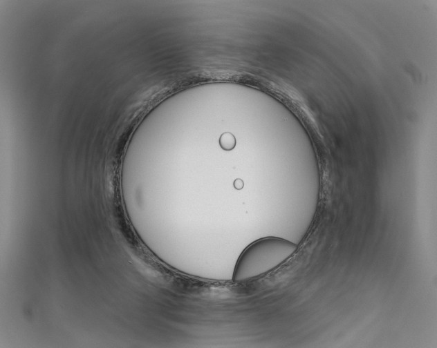 X0000111420114200907131028