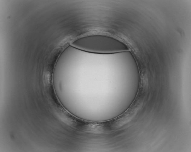 X0000111420117200907131028