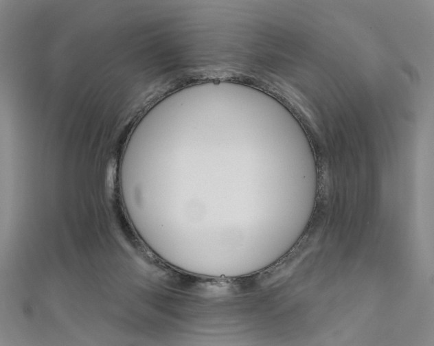 X0000111420118200907131028
