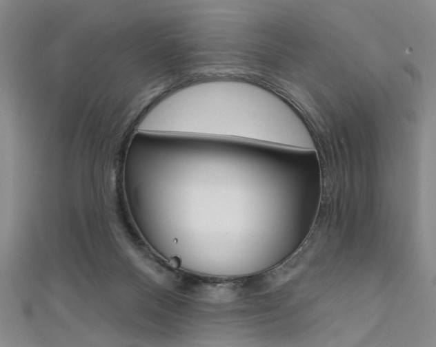 X0000111420120200907131028