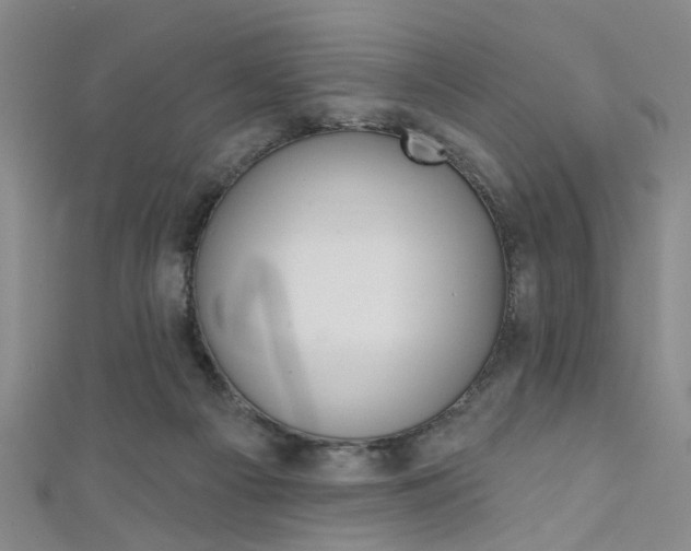 X0000111420121200907131028