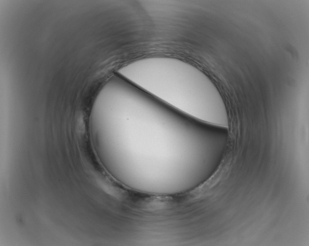 X0000111420128200907131028