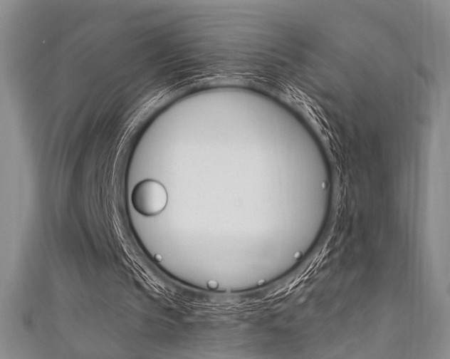 X0000111420145200907131027
