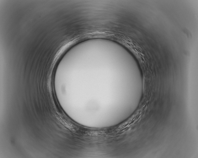 X0000111420147200907131027