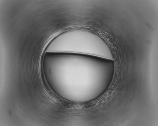 X0000111420148200907131027