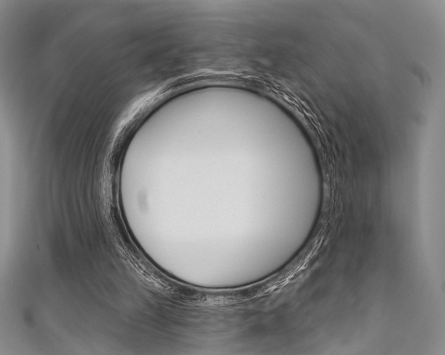 X0000111420149200907131027