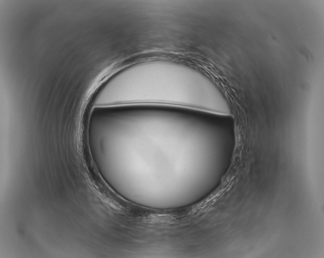 X0000111420150200907131027