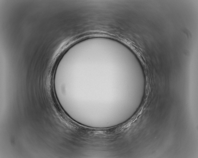 X0000111420151200907131027