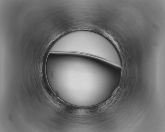 X0000111420154200907131027