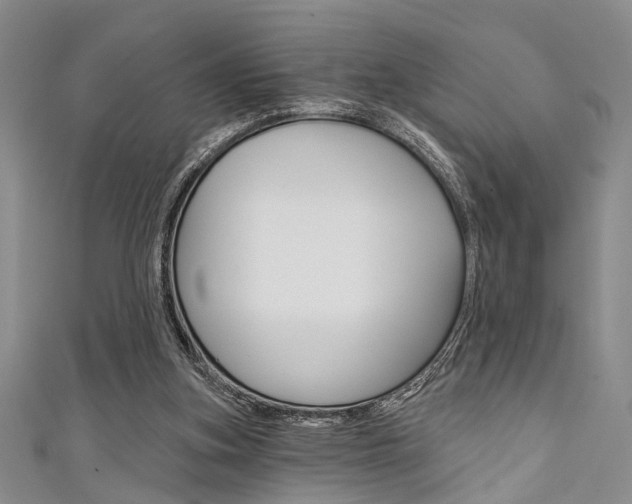 X0000111420155200907131027