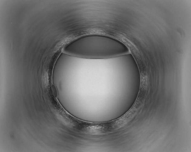 X0000111420158200907131027
