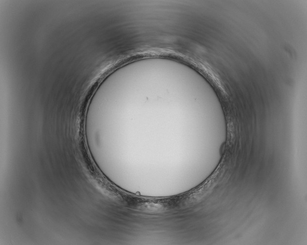 X0000111420159200907131027