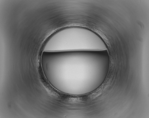 X0000111420160200907131027