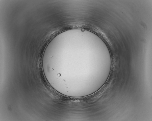X0000111420161200907131027