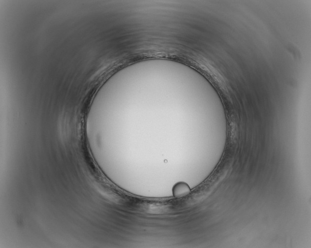 X0000111420165200907131027