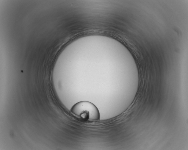 X0000111420168200907131027
