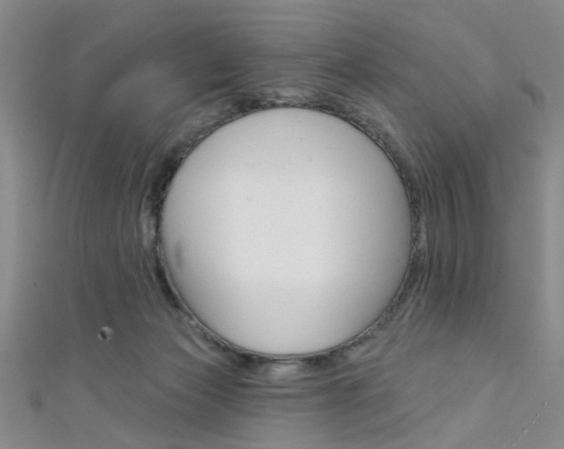 X0000111420173200907131027