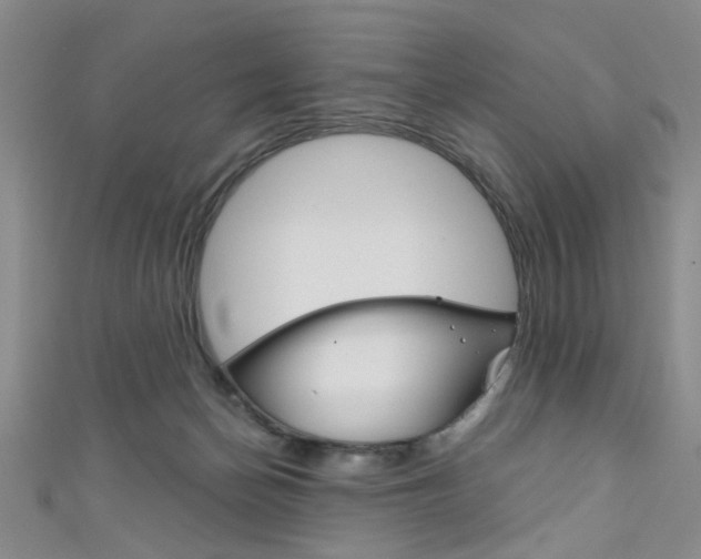 X0000111420174200907131027