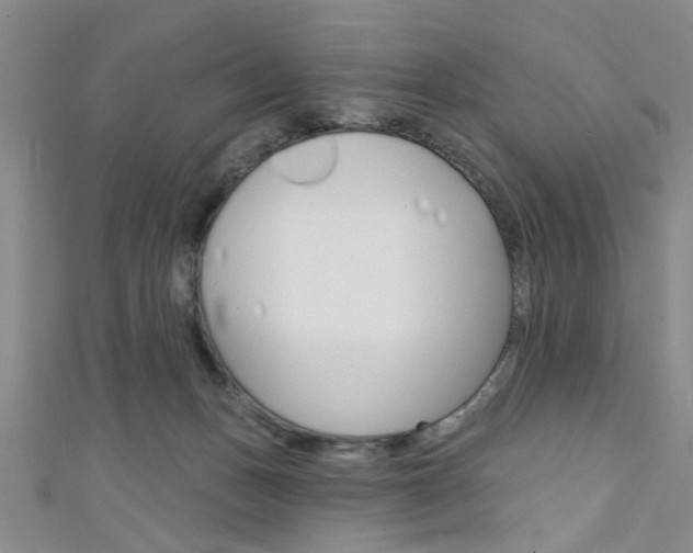 X0000111420175200907131027