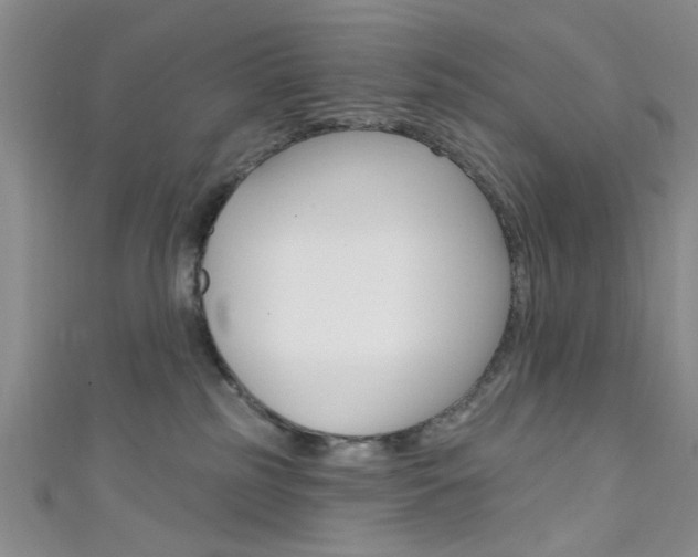 X0000111420185200907131027