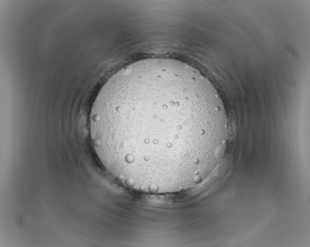 X0000111420187200907131027