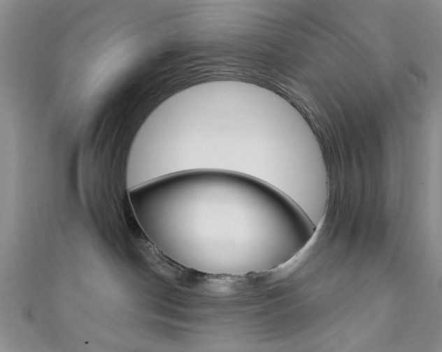 X0000111420190200907131027