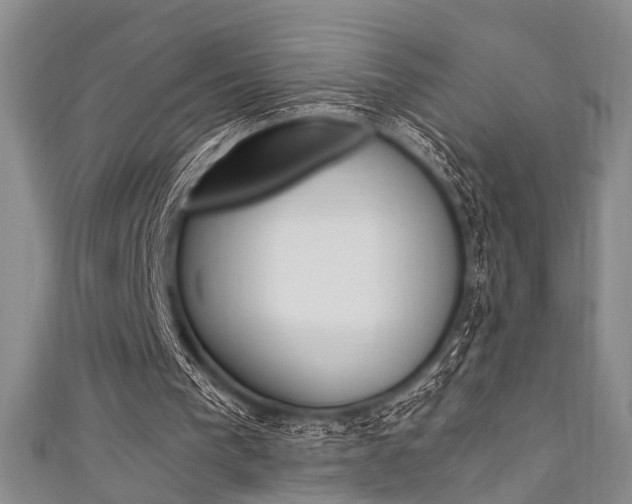 X0000111420193200907131027