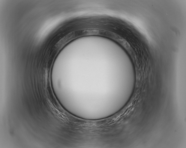 X0000111420194200907131027