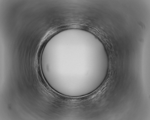 X0000111420198200907131027
