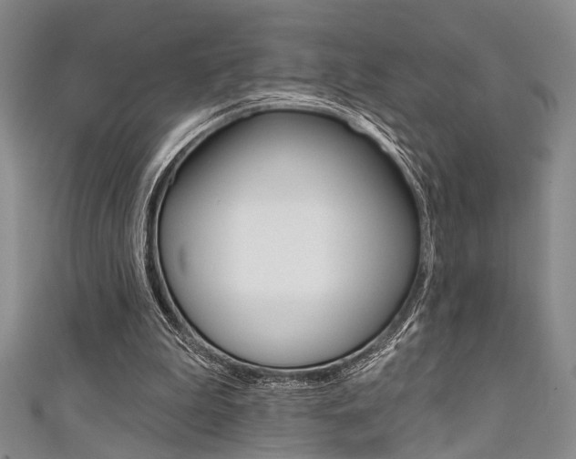 X0000111420199200907131027