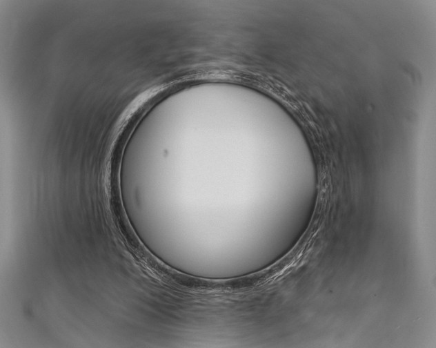 X0000111420200200907131027