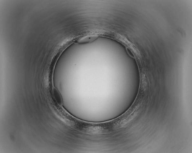 X0000111420203200907131027