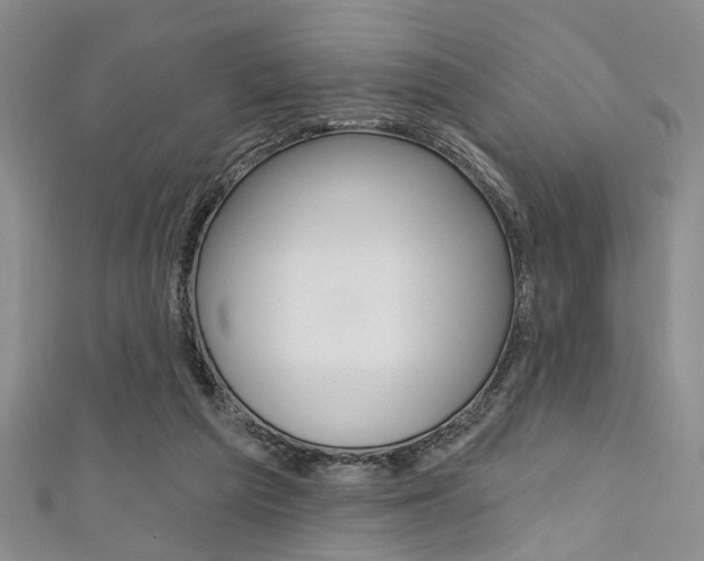 X0000111420209200907131027