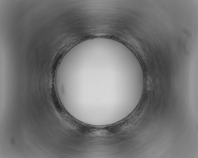 X0000111420210200907131027