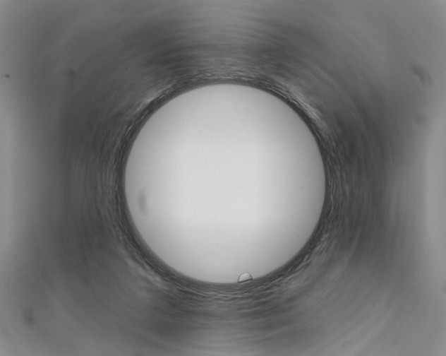 X0000111420211200907131027