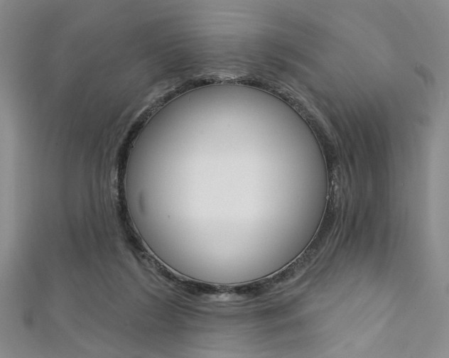 X0000111420212200907131027