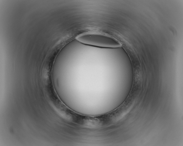 X0000111420215200907131027