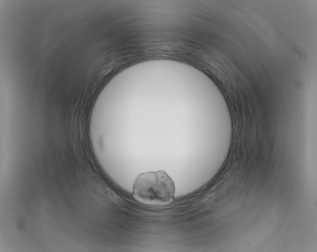 X0000111420219200907131027